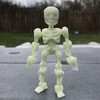  skeleton action figure;?>